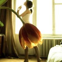 θεωνού νούμπα