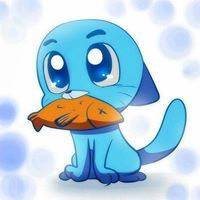 خالد المعداوي