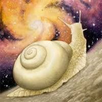 อรุณี มุศิริ