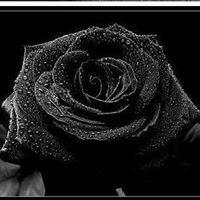 Jackie Lovato-Mitchell