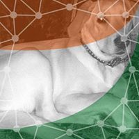 डाॅ योगेश