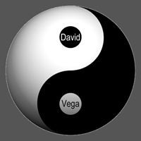 DAVID LEONARD VEGA