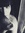 Zooey H...