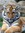 FantomTiger | 6 comments
