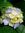 Renee Carroe | 4 comments