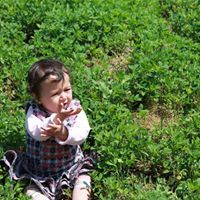 الراعي الصالح