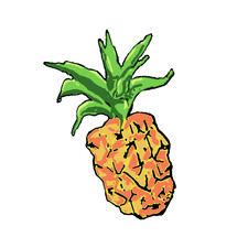 Pineapple Press