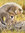 member photo member photo