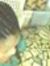 Treasur...