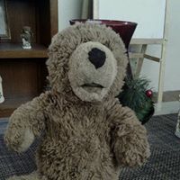 Ted Bear