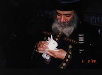 Afrayem Maged