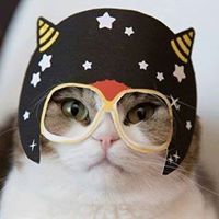 Simonetta Gatto