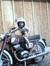 Faron S...
