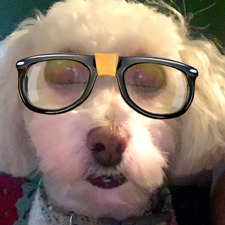 Normcorebrenna