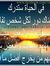 Hosam S...