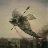 يزن الرياني