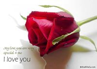 الورده الحمراء