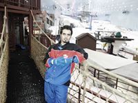 فيصل ال يحيى