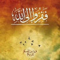 Mohamed Abd El Megeed