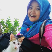Dini