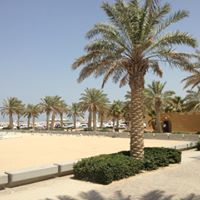 Ahmed Nabil