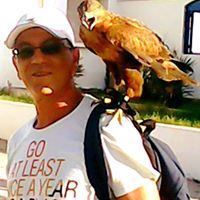 سليمان الهواري