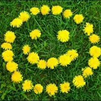 Joyce Hunter Everett