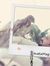 Ahmed R...