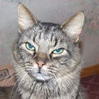 Māris Bērzmārtiņš