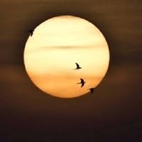 ابوهتان ابوهتان