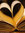 Book Lover