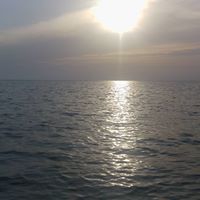 محمدعبدالله مهدي