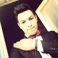 Mohamed L Zakr