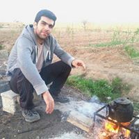 امین حمله داری