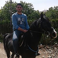 Omar Alkhateeb
