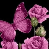 Pamella Hlavaty-Shaughnessy