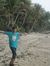 Arsyad ...