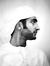 Mostafa...