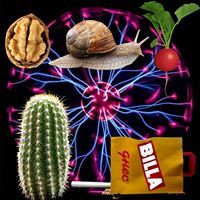 Любомир Икономов