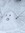 Emil