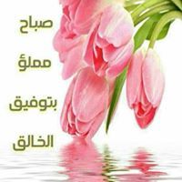 Mohaab Cho