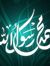 Ahmed M...