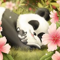 Truc Tran