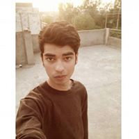 Hamza Ansari