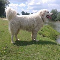 тоня евелинова