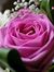 Asmaa H...