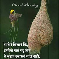 Nandkishor Surve