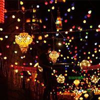 لوجين العسيري