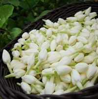 صبري الجوهري