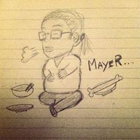 Chrysanthemum Mayer